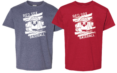 Salem Red Sox Bimm Ridder Presence Youth T-Shirt