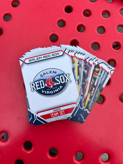 All Star Dogs: Salem Red Sox Pet Products
